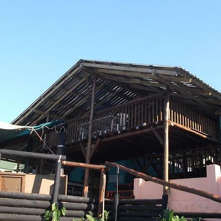 Hostel Jungle Monkey Backpackers Port Saint Johnʼs Exterior foto