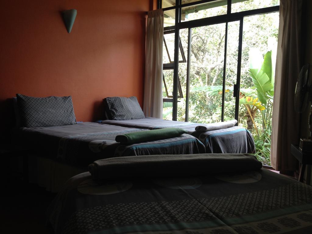 Hostel Jungle Monkey Backpackers Port Saint Johnʼs Zimmer foto