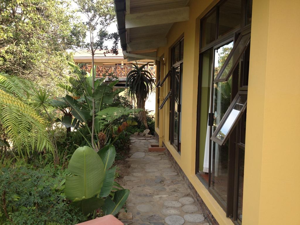 Hostel Jungle Monkey Backpackers Port Saint Johnʼs Zimmer foto