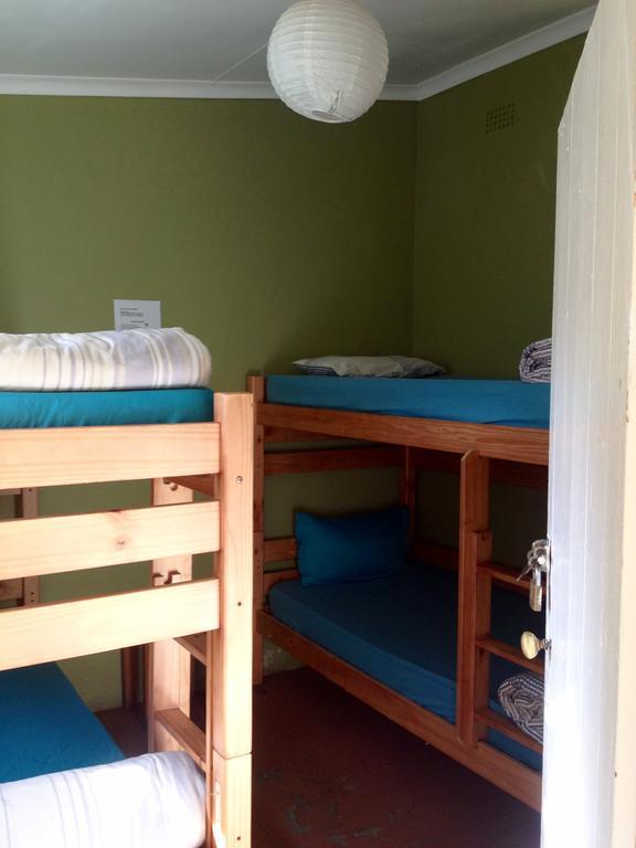 Hostel Jungle Monkey Backpackers Port Saint Johnʼs Zimmer foto