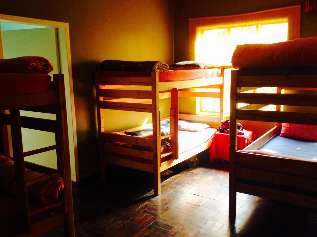 Hostel Jungle Monkey Backpackers Port Saint Johnʼs Zimmer foto
