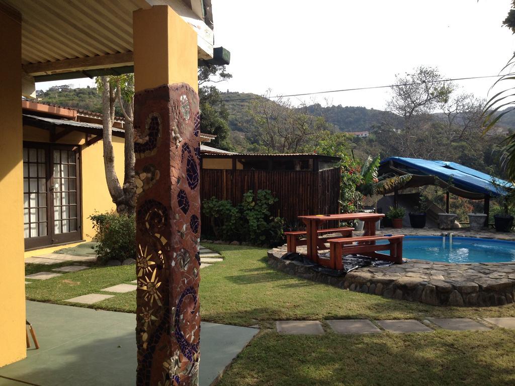 Hostel Jungle Monkey Backpackers Port Saint Johnʼs Zimmer foto