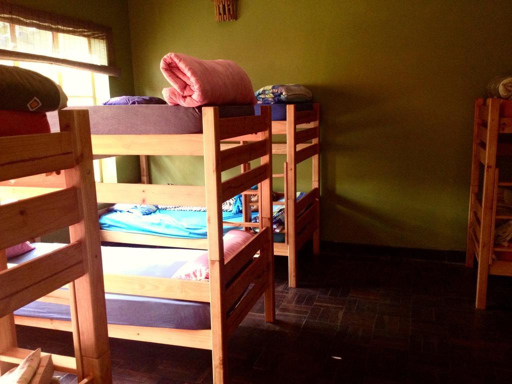 Hostel Jungle Monkey Backpackers Port Saint Johnʼs Zimmer foto