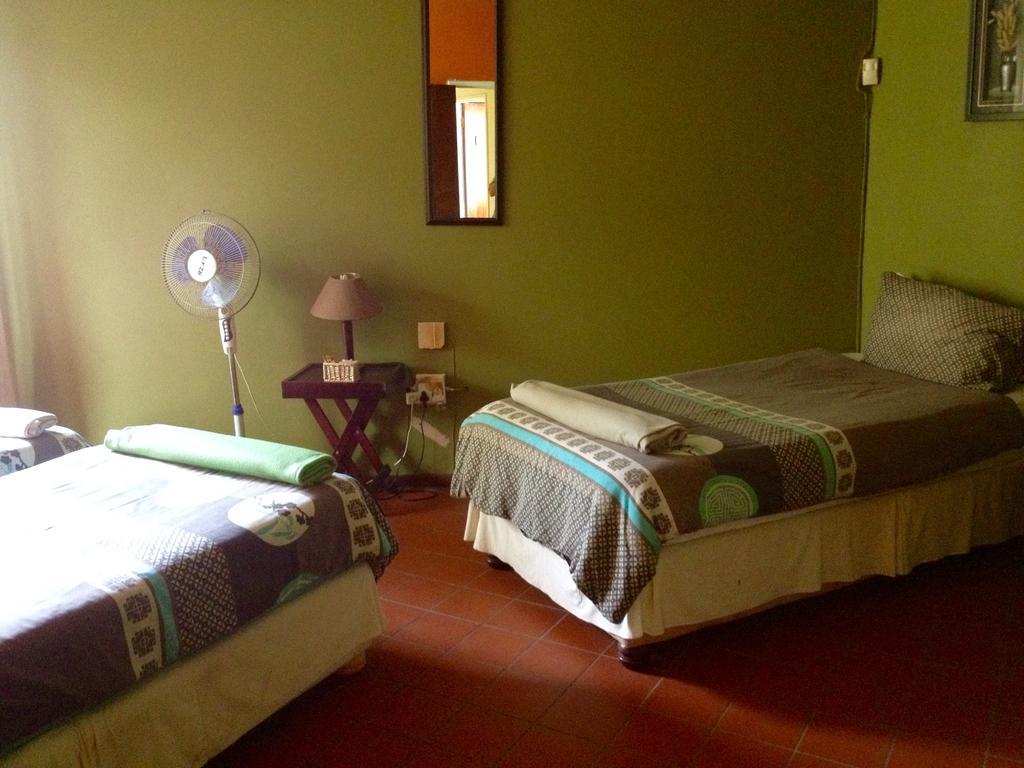 Hostel Jungle Monkey Backpackers Port Saint Johnʼs Zimmer foto