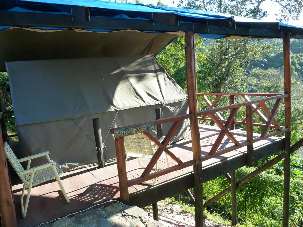 Hostel Jungle Monkey Backpackers Port Saint Johnʼs Zimmer foto