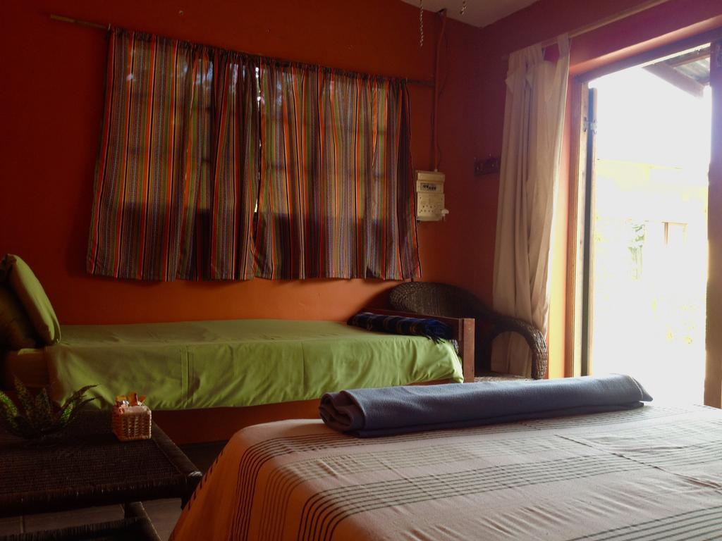 Hostel Jungle Monkey Backpackers Port Saint Johnʼs Zimmer foto