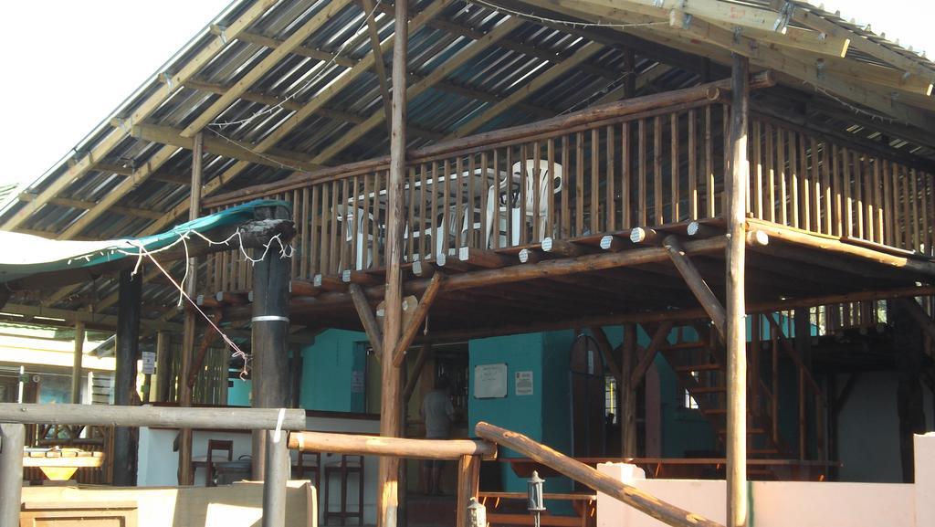 Hostel Jungle Monkey Backpackers Port Saint Johnʼs Exterior foto