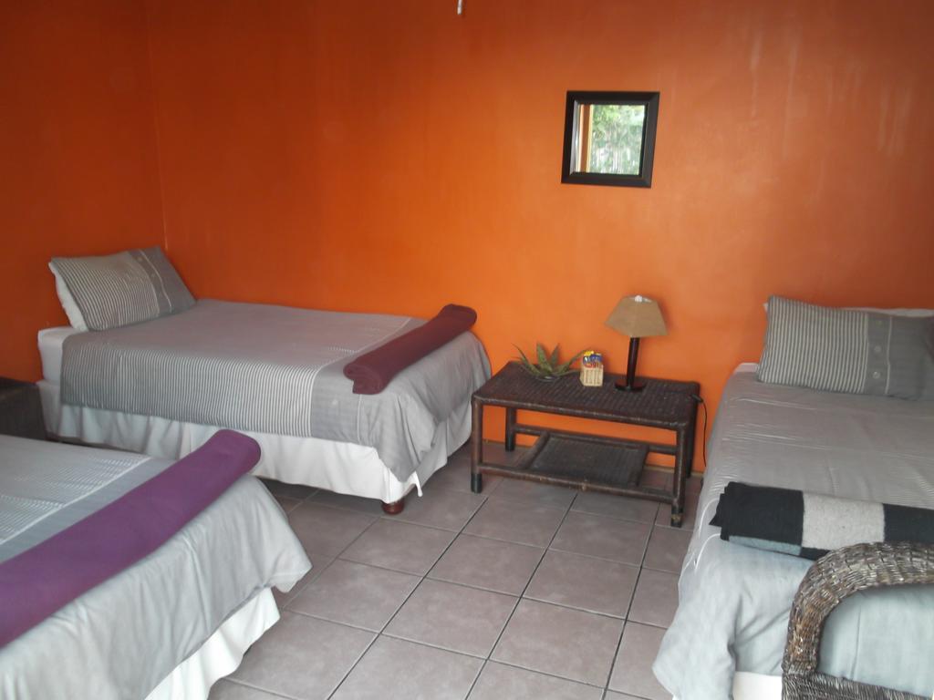 Hostel Jungle Monkey Backpackers Port Saint Johnʼs Exterior foto